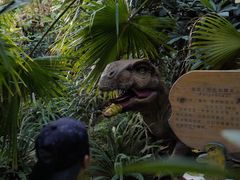 -呀路古热带植物园-恐龙馆