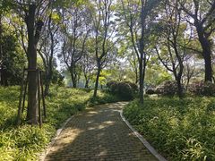 -尚贤河湿地