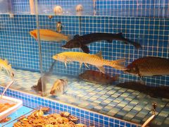 -蓝钻·国际美食海鲜自助百汇(西直门店)