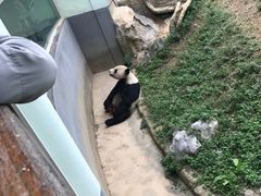 -南昌动物园