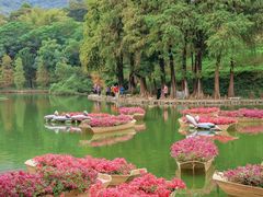-广州市白云山风景名胜区