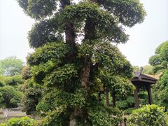 -武汉紫薇都市田园