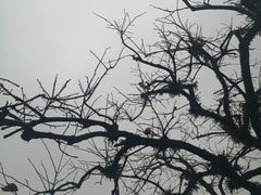 -东钱湖旅游度假区