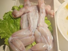 -九鼎轩脆毛肚火锅(南京东路店)