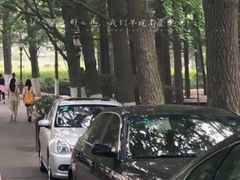 -八大关景区
