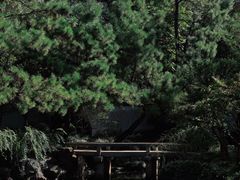 -秋霞圃