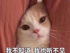 -常州市派克动物医院