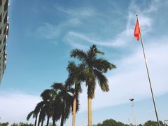 -肇庆市高要区新桥中学