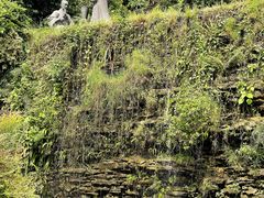 -广州神农草堂中医药博物馆