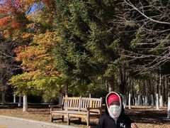 -长春世界雕塑园冰雪艺术天地