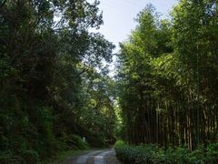 -黄公望隐居地