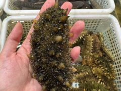 -渔傅·霞浦滩涂海鲜(建平店)
