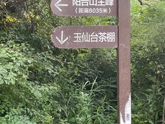 -阳台山自然风景区