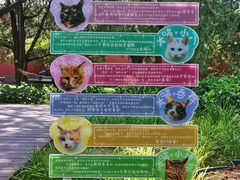 -北京市劳动人民文化宫(太庙)
