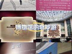 -安阳博物馆