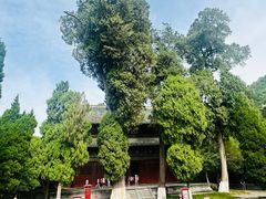 -报恩寺(平武县)