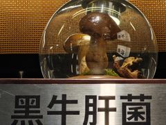 -芸山季·云南山珍菌火锅(人民广场来福士店)