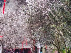 -大慈岩风景区