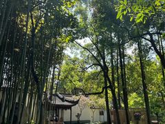 -上海醉白池公园