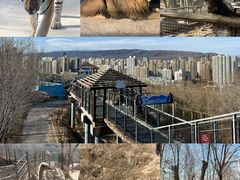 -青藏高原野生动物园
