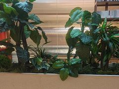 -悦海·家宴·冰花皮皮虾大锅贴(宝龙店)