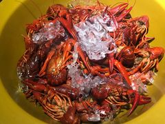 -眼镜哥浦江夜宵大本营