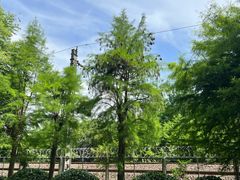 -西湖风景区-江洋畈生态公园