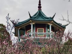 -无锡梅园公园
