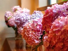 -发现花馆西餐厅FA Restaurant