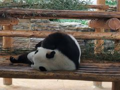 -西霞口神雕山野生动物世界