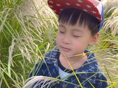 -羊亭河湿地公园