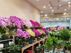 -双季花艺园艺市场(浦东店)