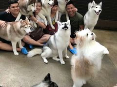 -TrueLove @ Neverland (Husky Cafe)