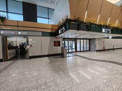 -米兰-马尔彭萨机场