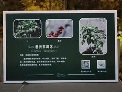 -福道