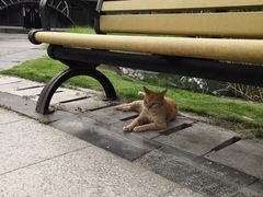 -苏州河梦清园环保主题公园