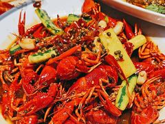 -杨氏青龙虾·羊蝎子(托乐嘉店)