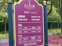 -迪士尼乐园停车场