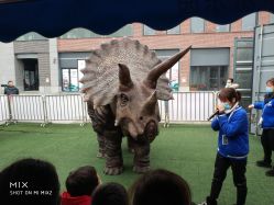 -恐龙探索乐园(磁器口店)