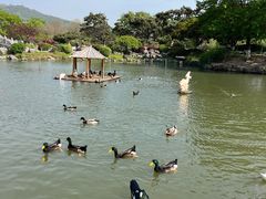 -玄武湖景区-情侣园游乐场