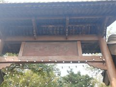 -阳台山自然风景区