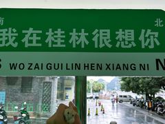 -桂林市花鸟市场