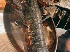-Oyster Talks 四度蚝法餐厅