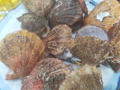 -沿海渔家院海鲜烧烤·东北菜(东戴河店)
