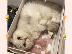 -爱侣宠医·鹦鹉专科·小型哺乳类·异宠专科(灵石路店)