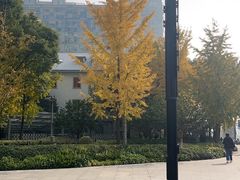 -上海电影制片厂