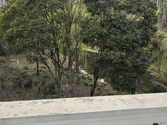 -上海华凯华美达广场酒店