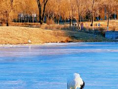 -沈阳森林动物园