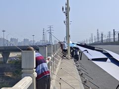 -永定河休闲森林公园