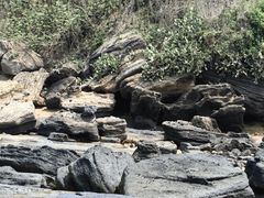 -石螺口海滩